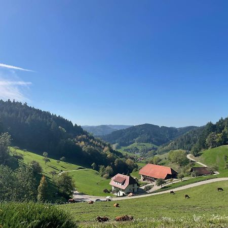 Schwarzwaldmadel Apartment Hausach Luaran gambar